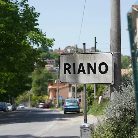 Casa Rosada Beb B&B Riano (Rome)
