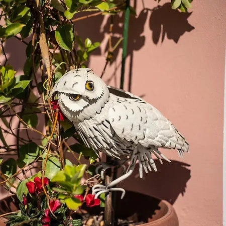 Casa Rosada Beb Oda ve Kahvaltı *