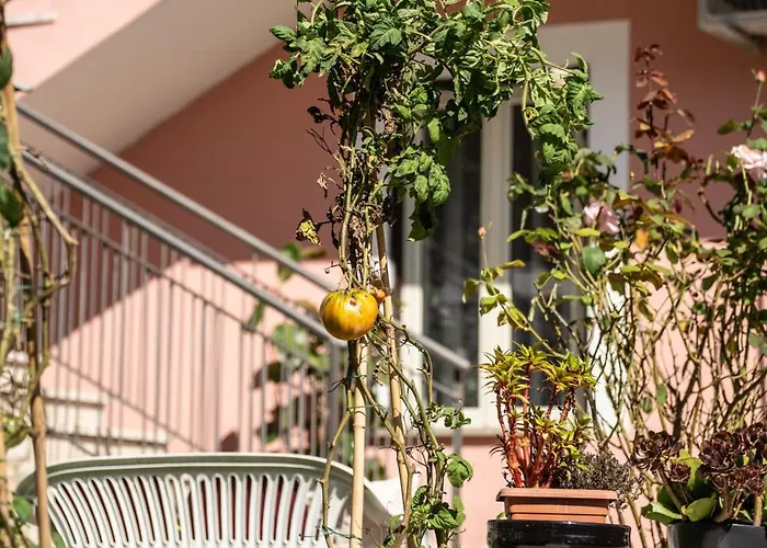 Casa Rosada Beb Bed & Breakfast Riano (Rome)