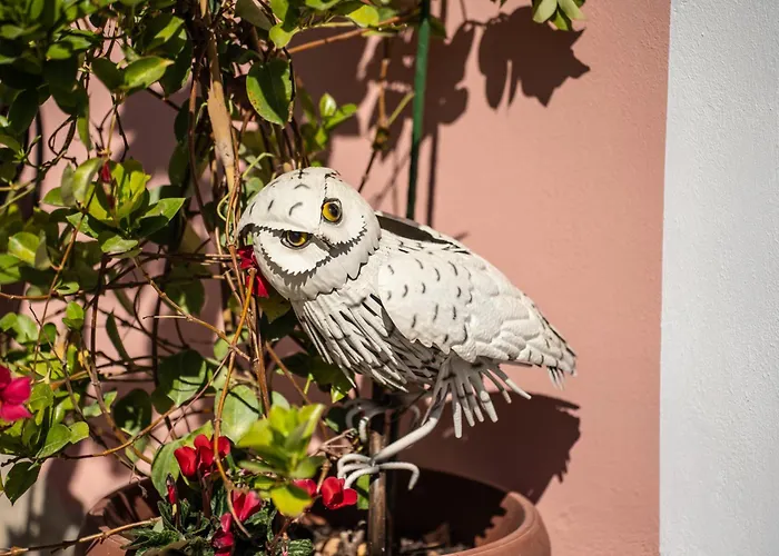 Casa Rosada Beb Bed & Breakfast *